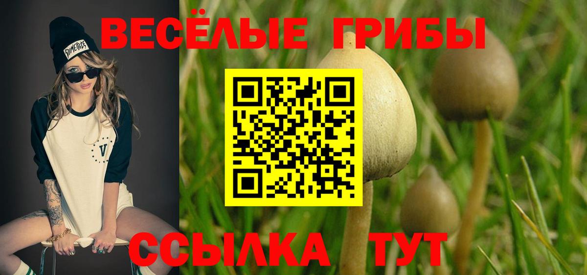 Псилоцибиновые грибы прущие грибы  Псилоцибиновые грибы GOLDEN TEACHER  Фурманов  Вход с VPN 